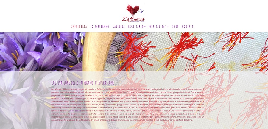 web design sito internet zaffineria